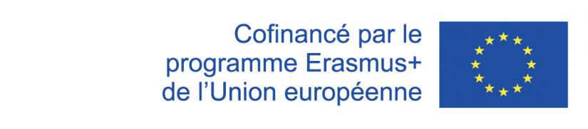 EU_disclaimer