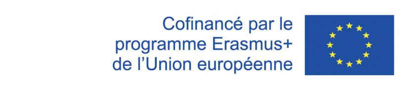 EU_disclaimer