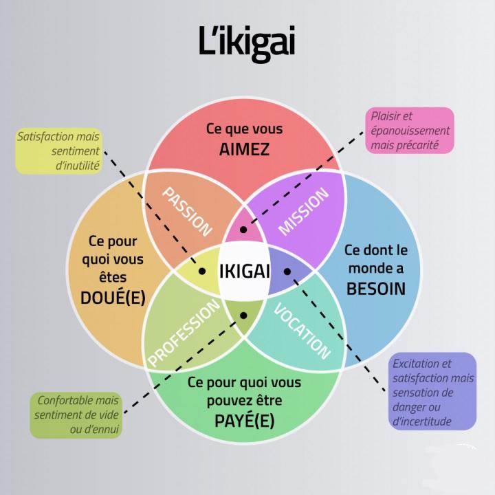 représentation graphique ikigai