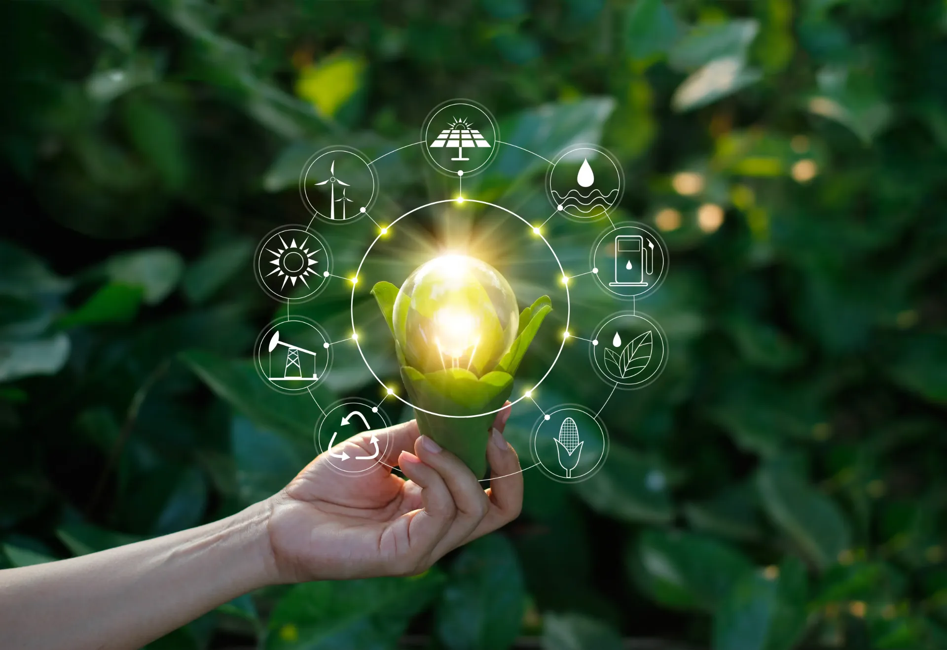 Environnement et gestion d'espaces verts